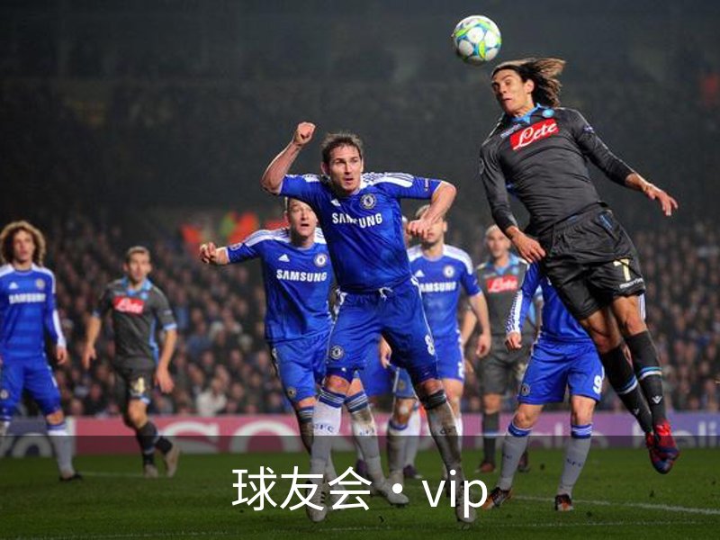 球友会·vip品牌故事